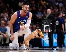 S15下注网站- 芝加哥公牛最新消息 