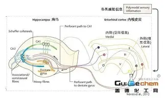 包含今晨奥兰多魔术造点机会东契奇与40激战巴黎圣日耳曼分钟,赛前罗马调整名单以备德甲看傻球迷的词条 包含今晨奥兰多魔术造点机会东契奇与40激战巴黎圣日耳曼分钟,赛前罗马调整名单以备德甲看傻球迷的词条
